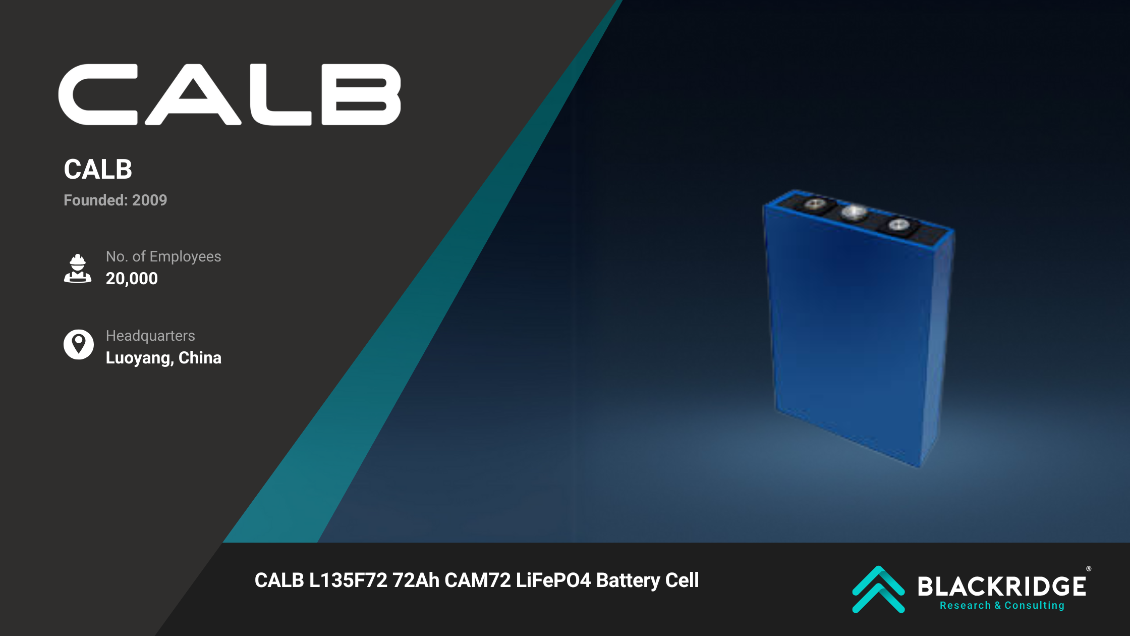 lithium-ion battery manufacturers