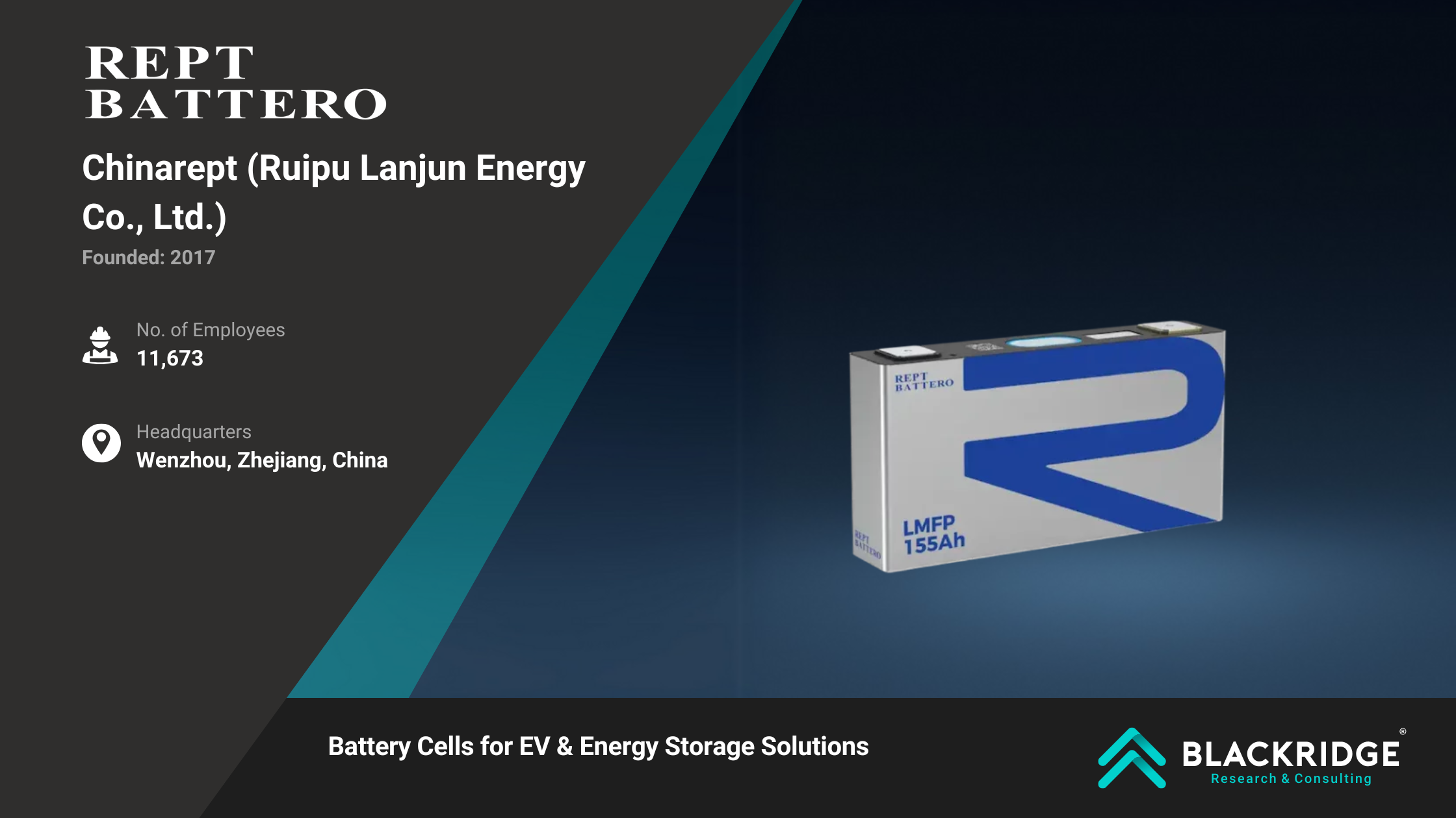 lithium-ion battery manufacturers