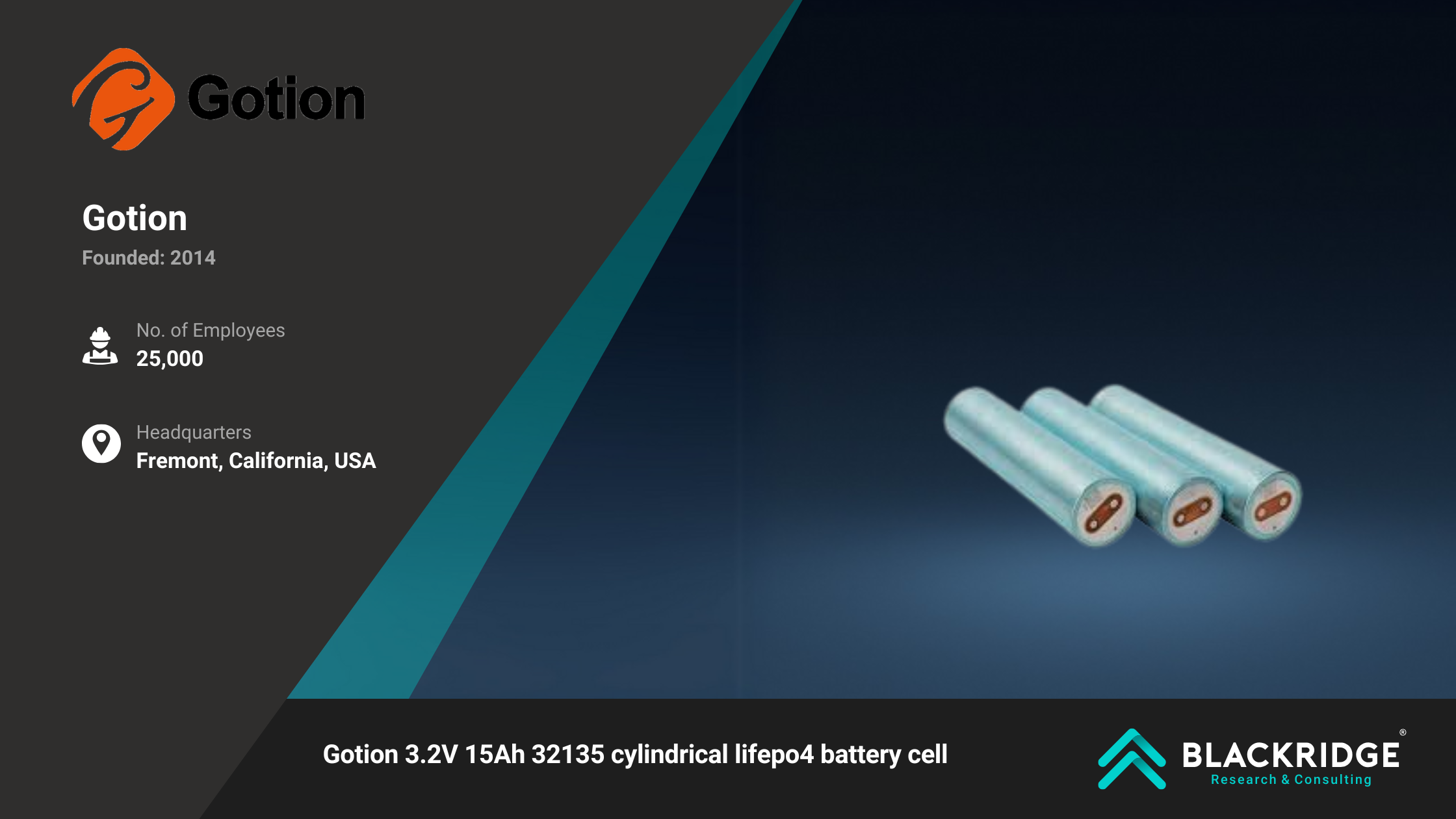 lithium-ion battery manufacturers