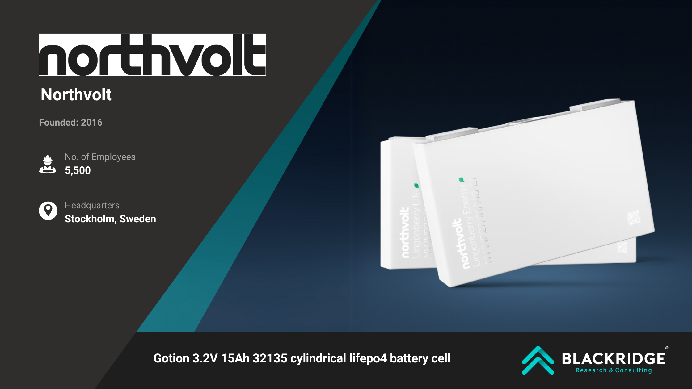 lithium-ion battery manufacturers