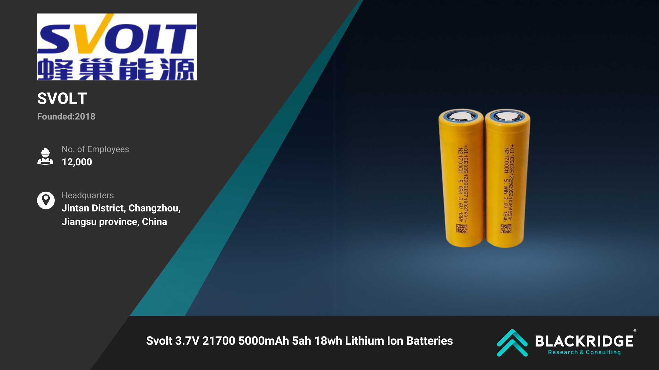 lithium-ion battery manufacturers