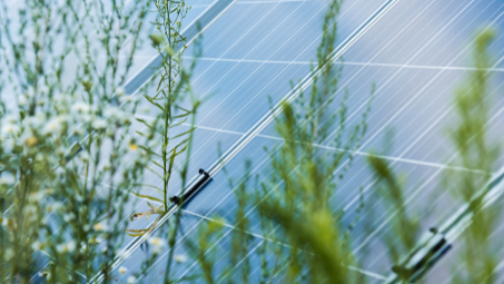  Insolation Subsidiary Started Operations of 3 GW Solar Module Manufacturing Plant in Rajasthan
